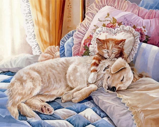 Aesthetic cat and fog bed painting by numbers.jpeg