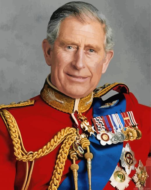 Aesthetic charles iii painting by numbers.jpeg