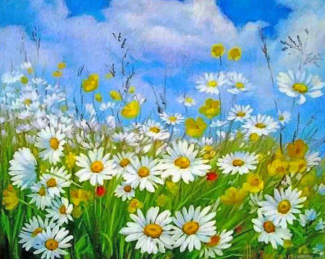 Aesthetic daisy field painting by numbers.jpeg