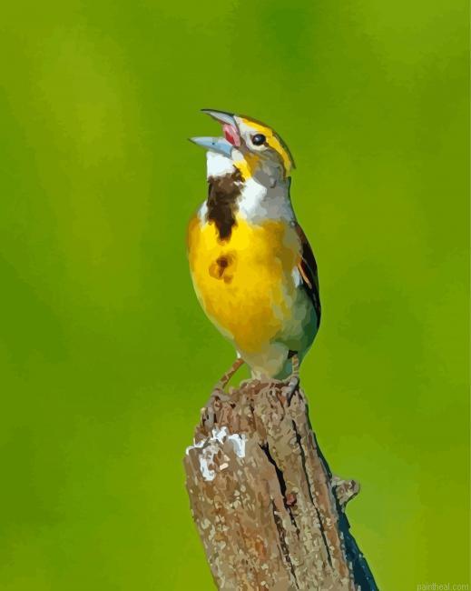 Aesthetic dickcissel painting by numbers.jpeg