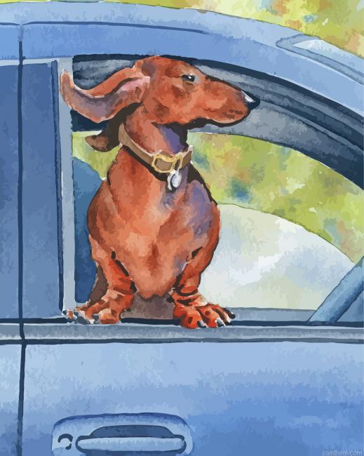 Aesthetic dog in car painting by numbers.jpeg