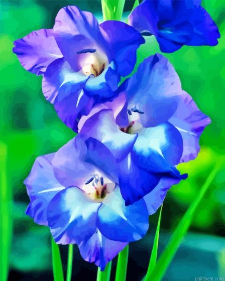 Aesthetic gladiolus painting by numbers.jpeg