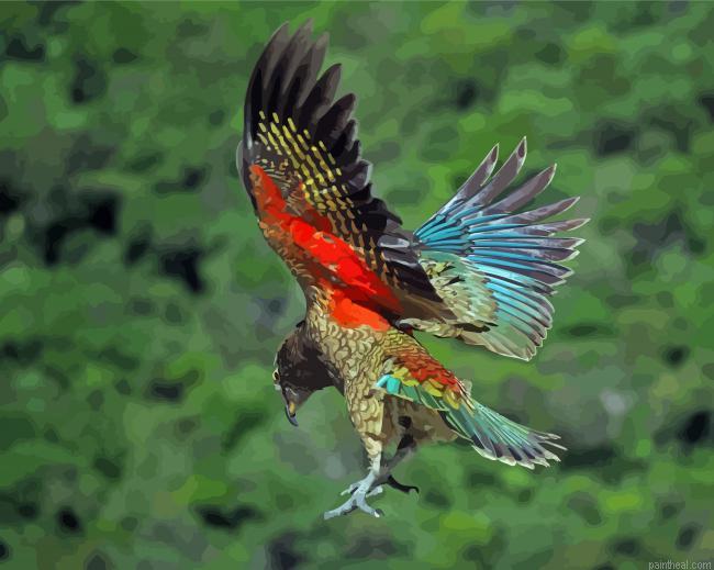 Aesthetic kea painting by numbers.jpeg