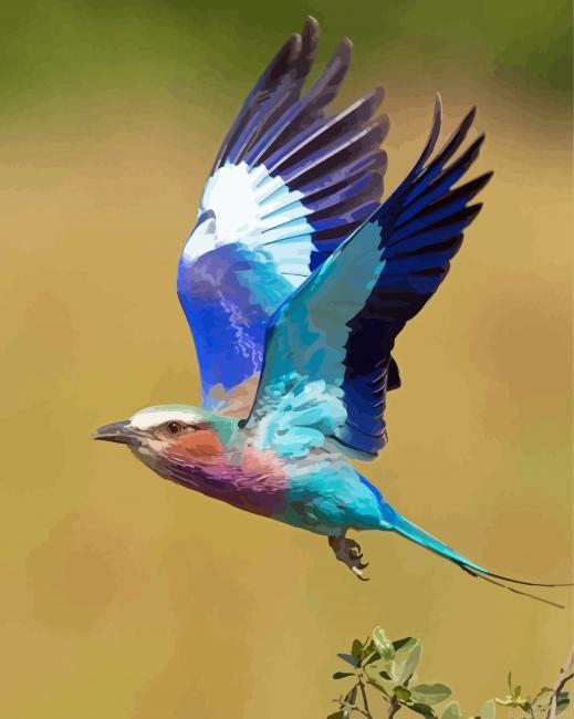 Aesthetic lilac breasted roller painting by numbers.jpeg