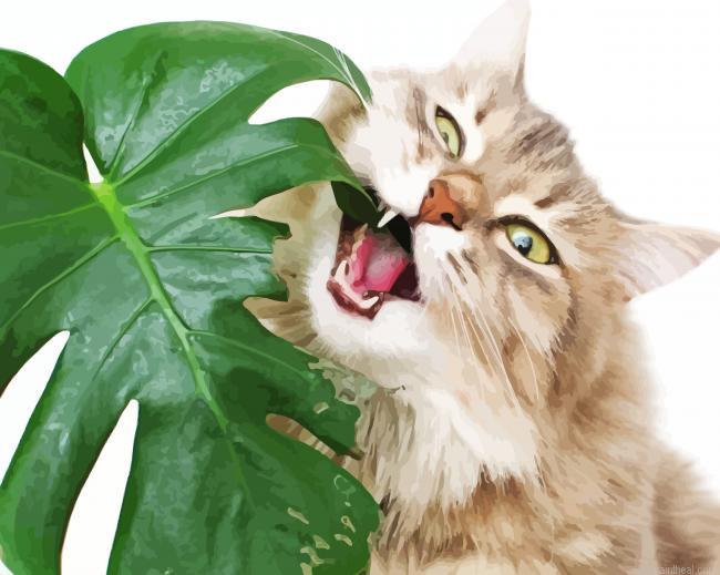 Aesthetic monstera and cat painting by numbers.jpeg