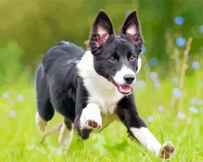 Aesthetic smooth collie painting by numbers.jpeg