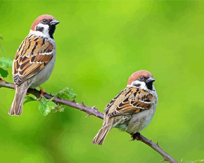 Aesthetic sparrows in tree painting by numbers.jpeg