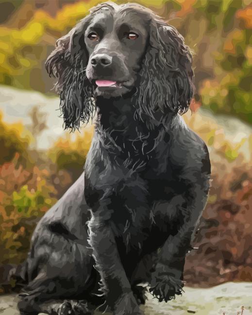 Aesthetic working spaniel painting by numbers.jpeg