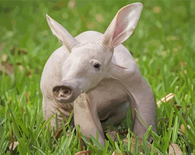 African aardvark painting by numbers.jpeg