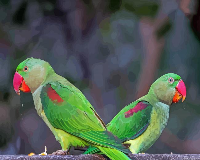 Alexandrine parakeets painting by numbers.jpeg