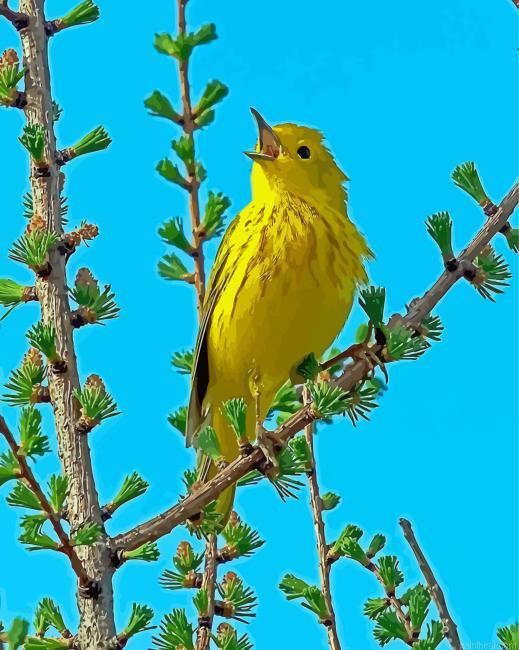 American yellow warbler bird painting by numbers.jpeg