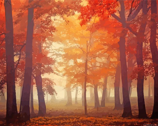 Autumn forest trees in fog painting by numbers.jpeg