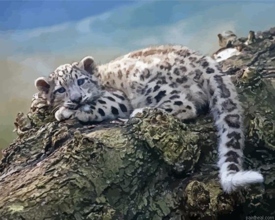 Baby snow leopard on treeon branch painting by numbers.jpeg