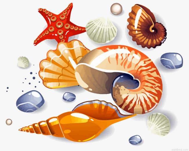 Beach cartoon shells painting by numbers.jpeg