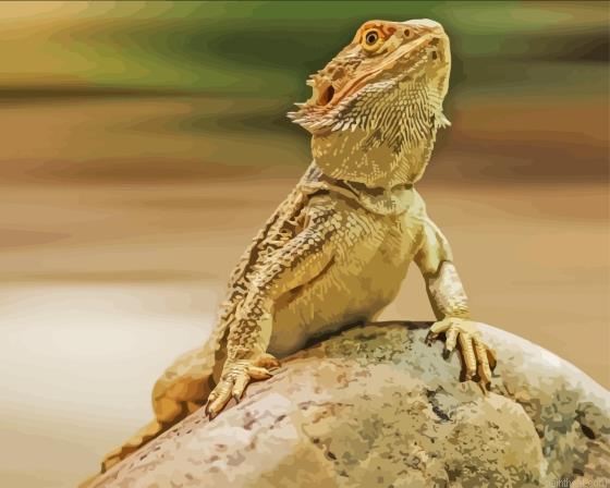 Bearded dragon animal painting by numbers.jpeg