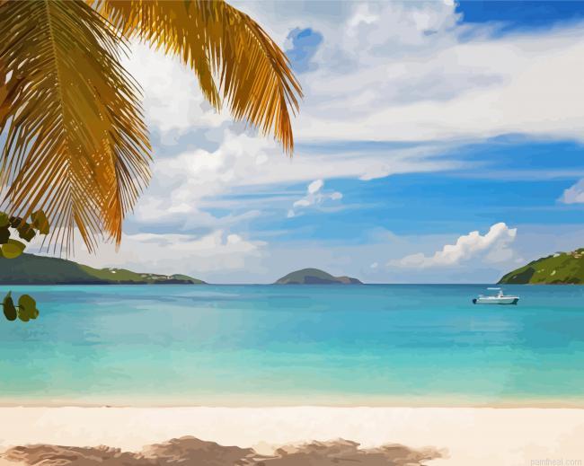 Beautiful beach in saint thomas painting by numbers.jpeg