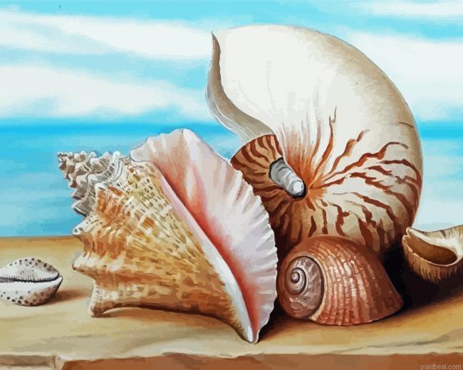 Beautiful beach shells art painting by numbers.jpeg