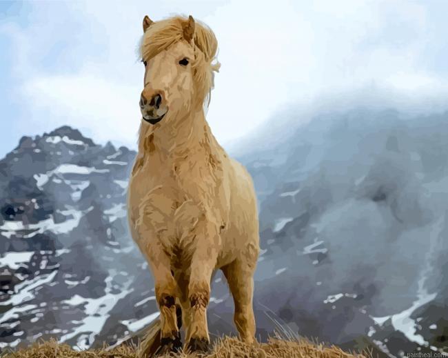 Beige icelandic horse painting by numbers.jpeg