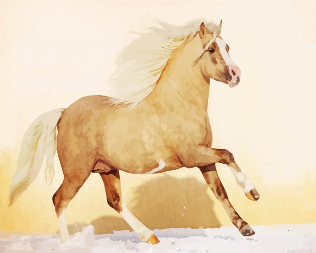 Beige welsh pony painting by numbers.jpeg
