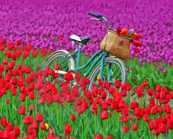 Bicycle and tulip field painting by numbers.jpeg