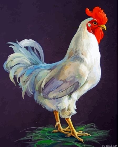 Big white rooster painting by numbers.jpeg