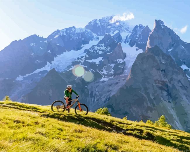 Bike in snowy mountain painting by numbers.jpeg