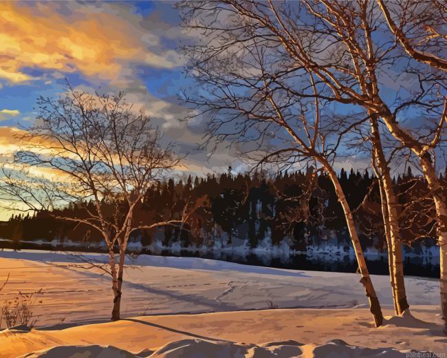 Birch trees landscape painting by numbers.jpeg