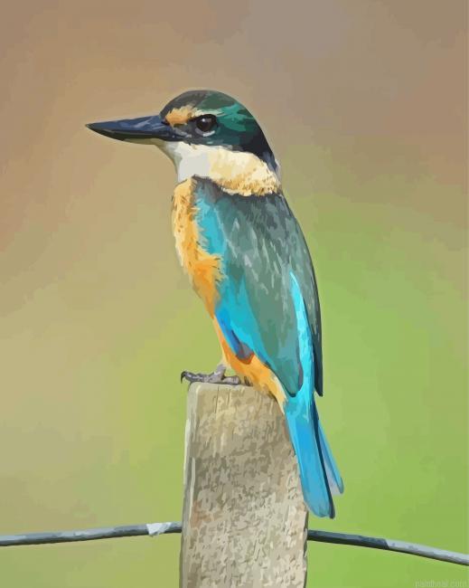 Bird kotare painting by numbers.jpeg