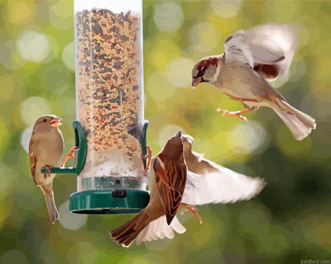 Birds at bird feeder painting by numbers.jpeg