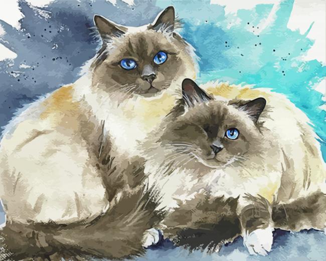 Birman cats painting by numbers.jpeg