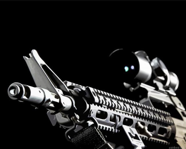 Black ar 15 painting by numbers.jpeg