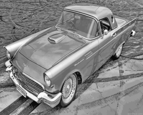 Black and white 57 thunderbird car painting by numbers.jpeg