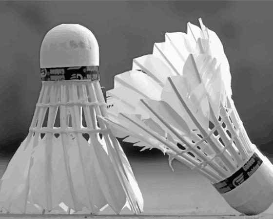 Black and white badminton shuttlecock painting by numbers.jpeg
