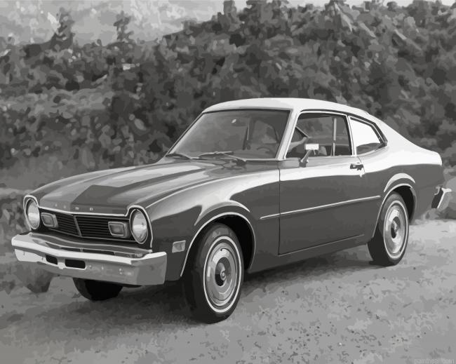 Black and white classic 70s car painting by numbers.jpeg