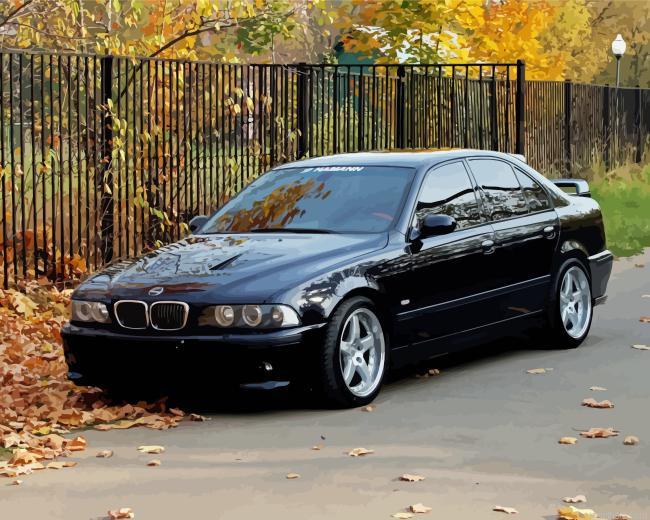 Black bmw e49 painting by numbers.jpeg