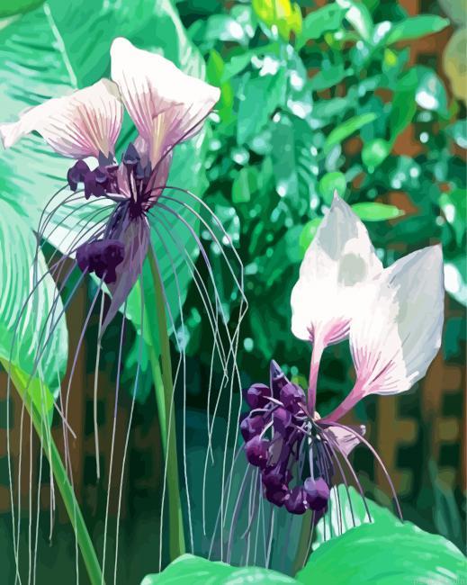 Black bat flowering plants painting by numbers.jpeg