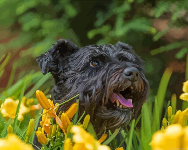 Black cairn terrier with yellow flowers painting by numbers.jpeg