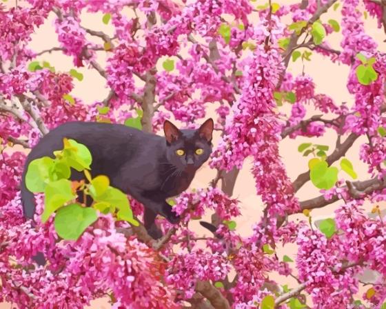 Black cat in cherry tree painting by numbers.jpeg