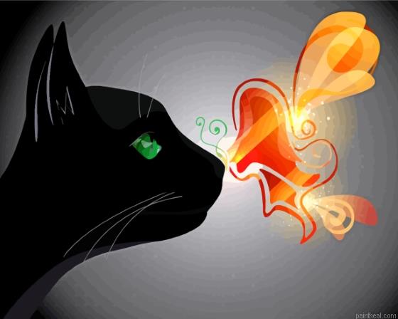 Black cat with butterfly on nose painting by numbers.jpeg