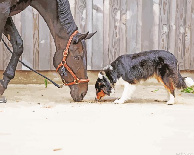 Black horse with mini aussie painting by numbers.jpeg