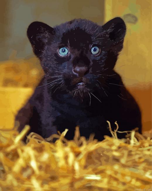 Black jaguar painting by numbers.jpeg