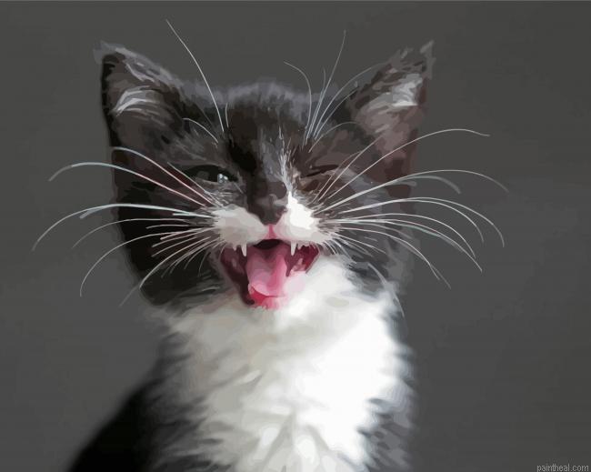Black kitten whiskers painting by numbers.jpeg
