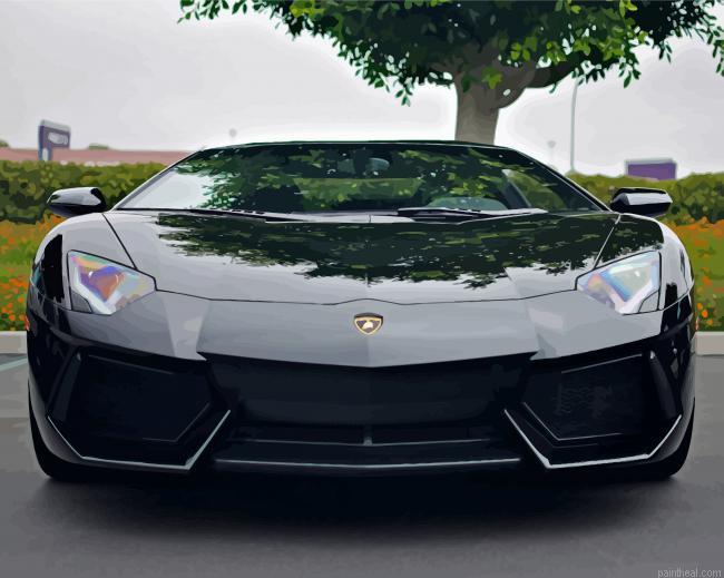 Black lamborghini painting by numbers.jpeg