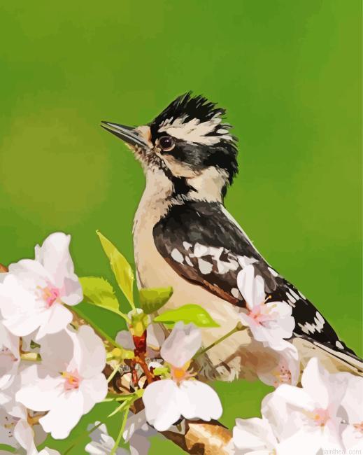 Blossoms downy woodpecker bird painting by numbers.jpeg