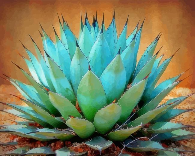 Blue agave plant painting by numbers.jpeg