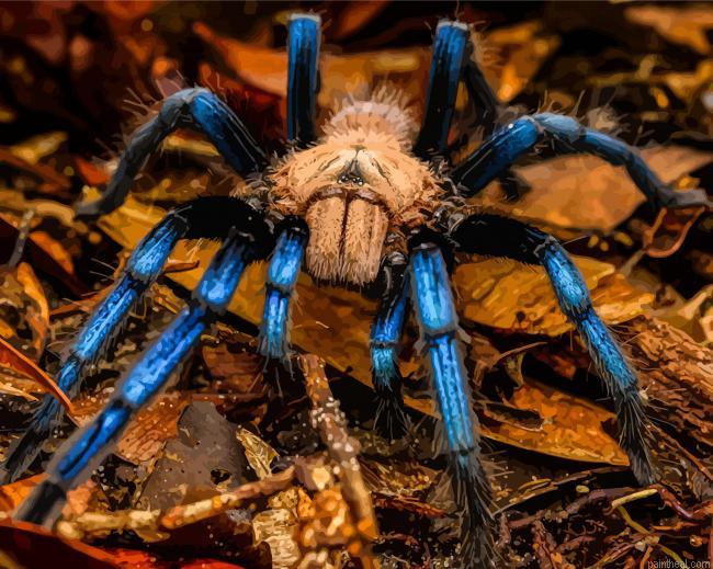 Blue and brown spider painting by numbers.jpeg