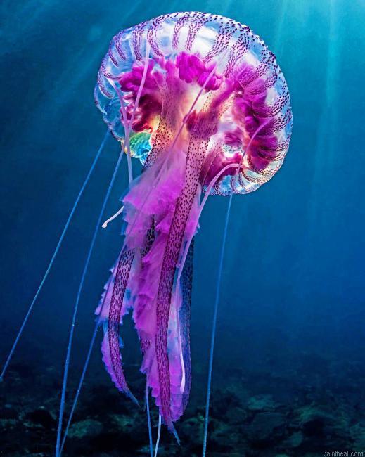 Blue and purple jellyfish underwater painting by numbers.jpeg