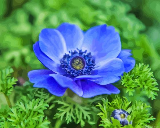 Blue anenome painting by numbers.jpeg