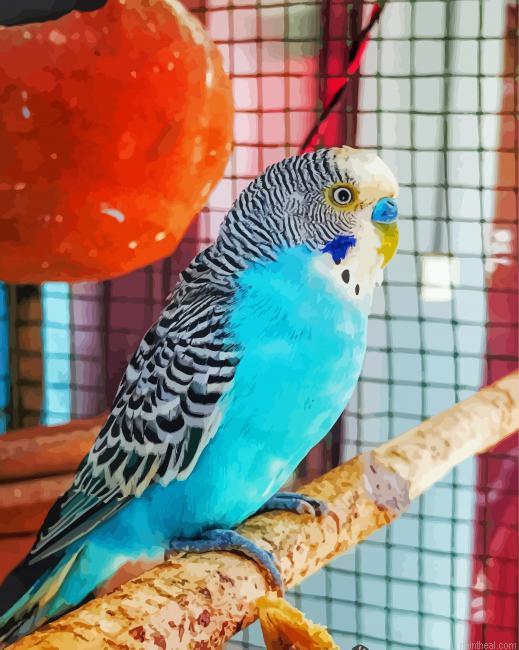 Blue parakeet bird painting by numbers.jpeg