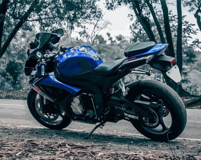 Blue suzuki gsxr motorcycle painting by numbers.jpeg
